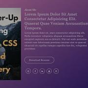 Counter Up Animation Using HTML CSS JQuery THE WEBFIX