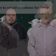 Introduction To Selection Indexes