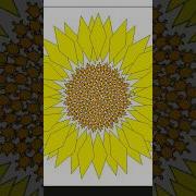 Draw Sunflower Using Python Turtle Shorts Shortvideo Short Python Pythonturtle