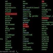 Display A List Of Files In A Directory With Ls Command