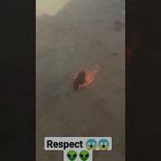 Respect Magic Shorts Viral Shortvideo Ytshorts Youtubeshorts
