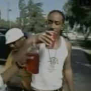 Ludacris Growing Pains