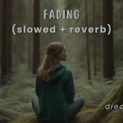 Fading Diedlonely Slowed Reverb