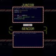 Junior And Senior Python Developer Who Are You Coding Python