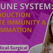 Immune System Introduction Innate Immunity Inflammation Medical Surgical LevelUpRN