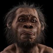 Древний человек Хомо Наледи Homo Naledi Рассказывает Сергей Вячеславович Савельев