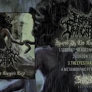 INSANITY DEIFICATION SPARED BY THE GORGON S GAZE FULL EP STREAM 2025 AS EXCLUSIVE