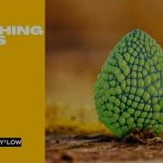 How To Make Breathing Celle S With Tyflow And 3dsmax