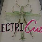 SparkFun ElectriCute Wake On Shake