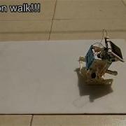 A Solar Robot Walker Bot