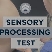 Sensory Processing Test