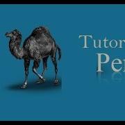 Perl Programming Language Easy Explanation Tutorial 1