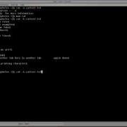 Cat Command In Linux Tutorial