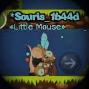 Transformice R I P Souris