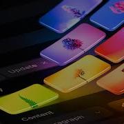 Framer Update CMS Galleries