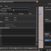 10 Creating Custom Attributes