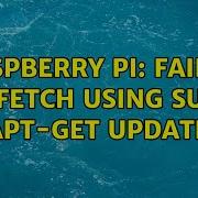 Raspberry Pi Failed To Fetch Using Sudo Apt Get Update