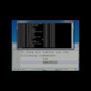 PostgreSQL SQL Shell Important Commands