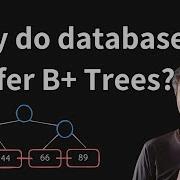 Why Do Databases Store Data In B Trees