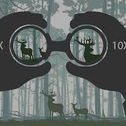 How Do Binoculars Work