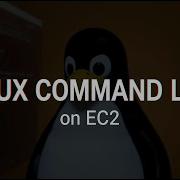 Linux Command Line Basics On EC2 AWS Linux Lab Series Part 2
