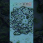Toothpaste In Saliva Under Microscope Shorts
