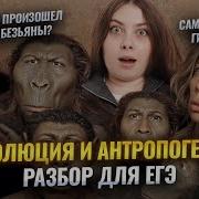 Антропогенез эволюция Вся теория для ЕГЭ по биологии Свежие гипотезы из мира науки Умскул
