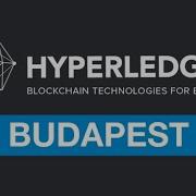 Hyperledger Budapest Hosts Reimplement Your Composer Business Network Into Fabric Java Chaincode