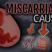 Dr Morris Ultimate Guide To Recurrent Miscarriage Testing