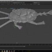 Auto Rigging Script
