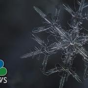 Snowflake Anatomy Breathtaking Microscope Photos NBC News