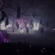 REVERZE 2025 Rooler