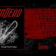 Brain Dead Satanic Penetration 2025 Full Ablum