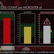 Flow Cytometry Virtual Lab