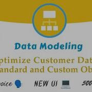 Data Modeling Optimize Customer Data With Standard Custom Objects Challenge 1 Trailhead Salesforce