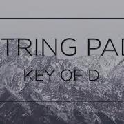 STRING PAD KEY OF D Bm For Backing Track