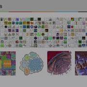 Fabian Bolte Visualization Source Code And Trees