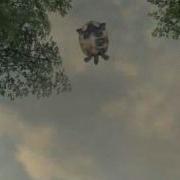 Crysis Warhead Fun Flying Turtle