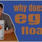 Why Does An Egg Float In Salt Water