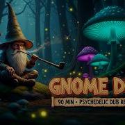 Gnome Dub 90 Minutes Of Psychedelic Dub Reggae