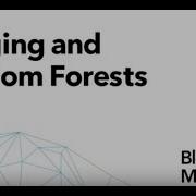 22 Bagging And Random Forests