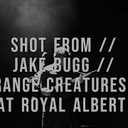 SHOT FROM JAKE BUGG STRANGE CREATURES LIVE AT THE ROYAL ALBERT HALL 2023