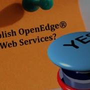 How To Publish An OpenEdge Web Service An Overview