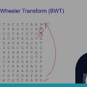 Lecture 19 Burrows Wheeler Transform BWT Swayamprabha CH31SP