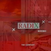 Radix Engineering The Company