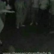 NINEBAR Live