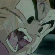 DMX DBZ