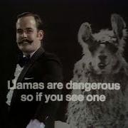 Monty Python CUIDADO La LLAMA