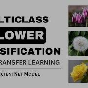 Multiclass Flower Classification Using Transfer Learning EfficientNet Model