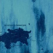 Nine Inch Nails The Downward Spiral Instrumental